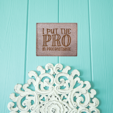 I put the Pro in - Unicorn Fart Productions